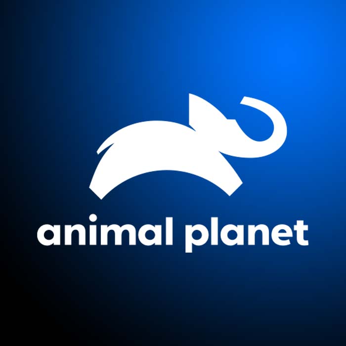 Animal Planet Logo